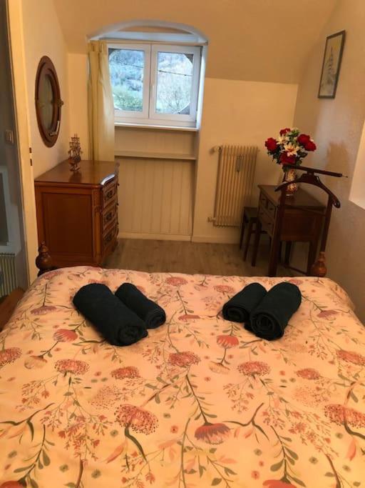 Appartement Rdc Dans Jolie Parc Arbore Beure 外观 照片